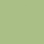 Trespa® Meteon® HPL Plaat EZ Spring green A37.2.3 3650x1860x8mm