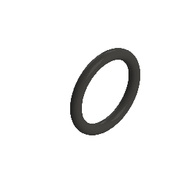 Agru FPM UHP O-ring Type 24 d63 88380106300