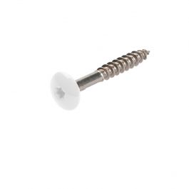 Inox A4 Gevelplaatschroef Tbv Trespa® Cremewit RAL9001 d12x4,8x38mm 100st
