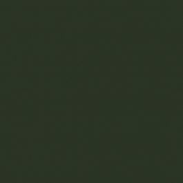 Trespa® Izeon® HPL Plaat EZ Groen RAL6009 Enkelzijdig folie 3050x1530x6mm