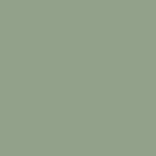 Trespa® Meteon® HPL Plaat EZ Cactus green A35.4.0 Enkelzijdig folie 3650x1860x8mm