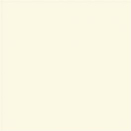 Trespa® Meteon® HPL Plaat EZ Wit A03.0.0 Enkelzijdig folie 3650x1860x6mm