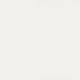 Trespa® Izeon® HPL Plaat EZ Traffic white RAL9016 Enkelzijdig folie 3050x1530x6mm